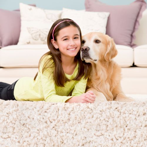 Our Cleaning Solution is Kid and pet Friendly