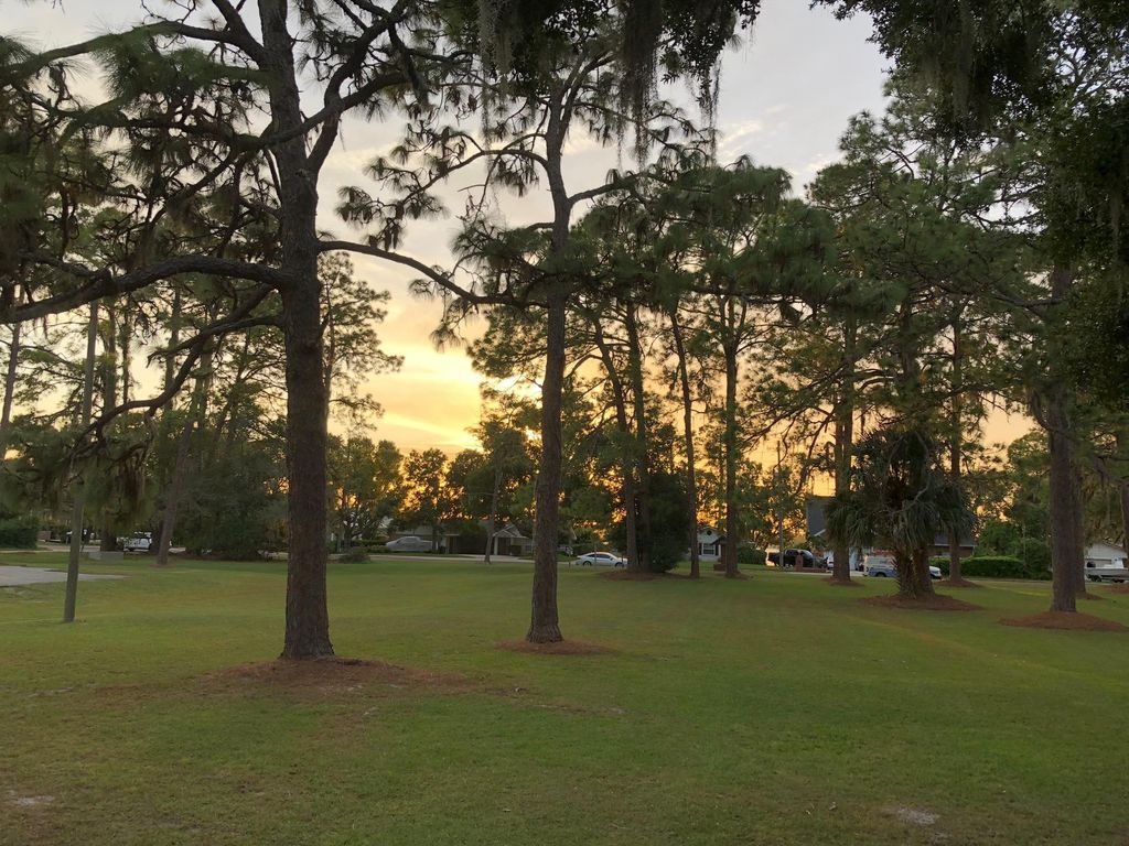 Forest City commercial property