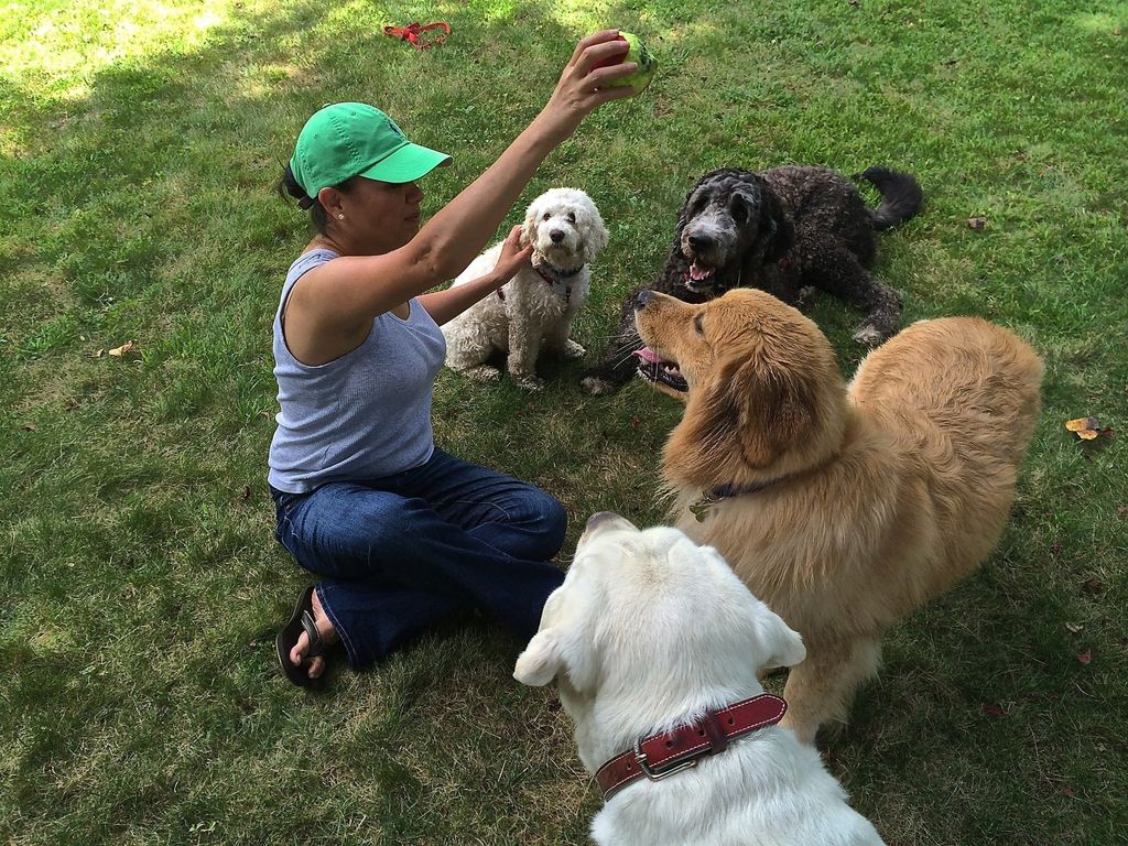 I'm surrounded by love!  4-legged children, Skyler