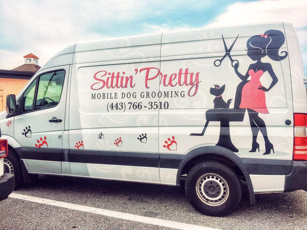 sitting pretty mobile dog grooming