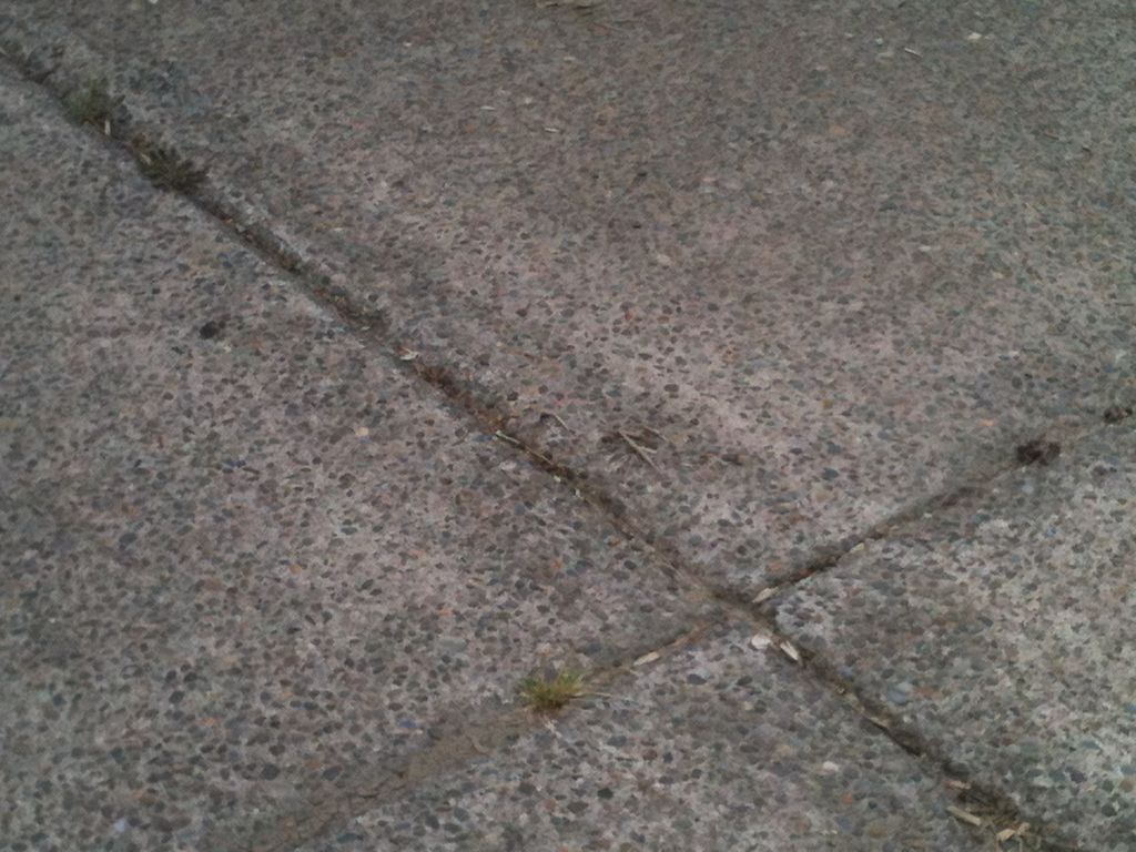 Before pressure washing