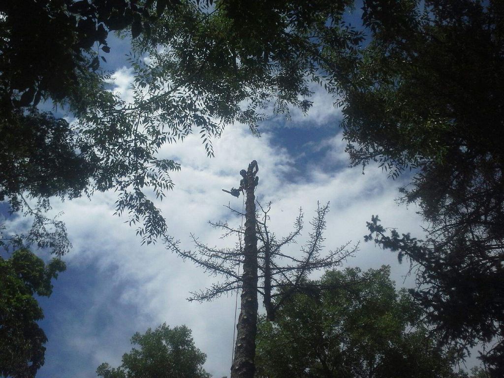 We use top of the line equipment and years of expe