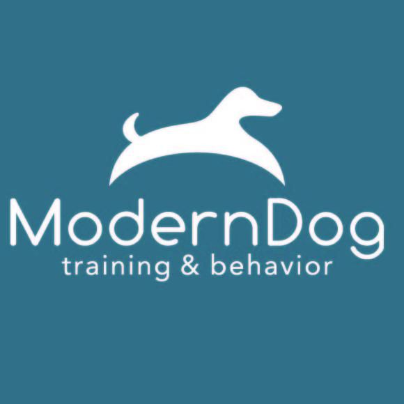modern dog training & behavior