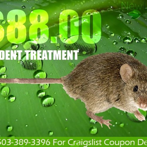 $88 rodent treatment coupon.  Call for details.