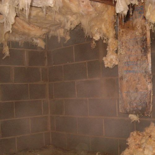 Wet moldy crawlspace with wet insulation falling d