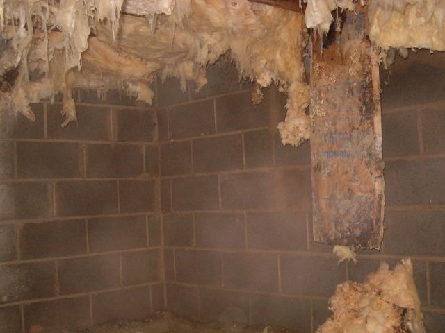 Wet moldy crawlspace with wet insulation falling d