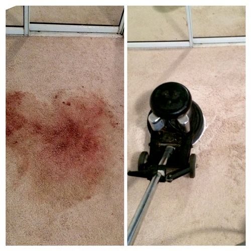 Blood Stain- GONE!

Our carpet cleaning company pr