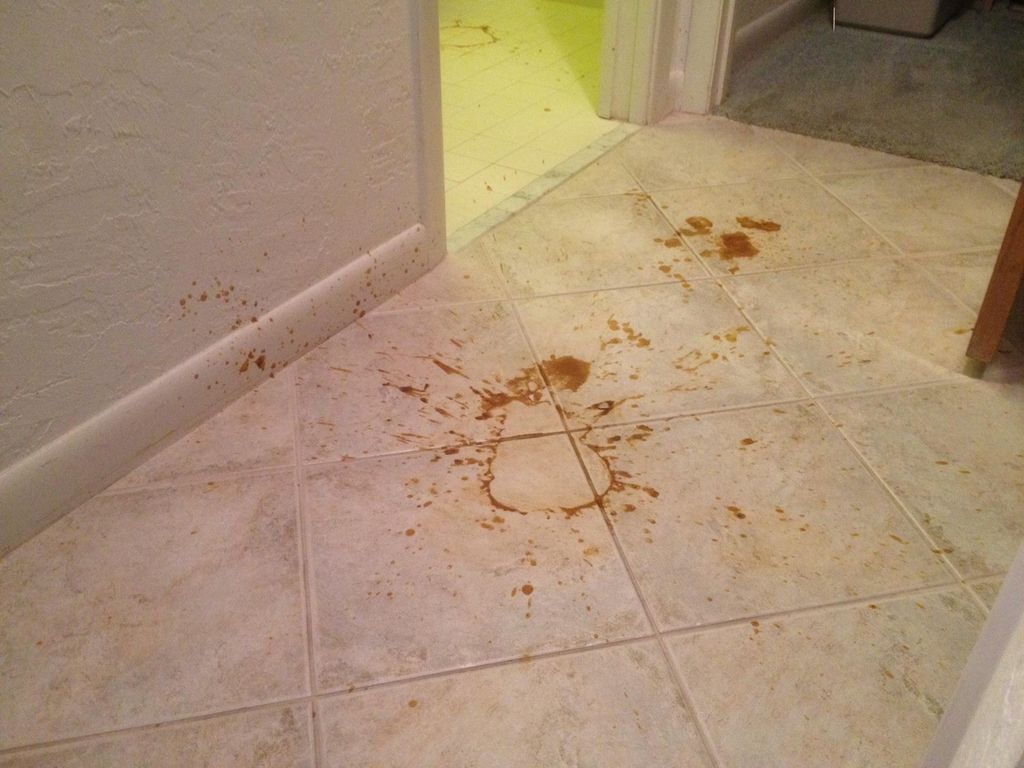 Emergency Tile & Grout Cleaning and Sanitation Bef