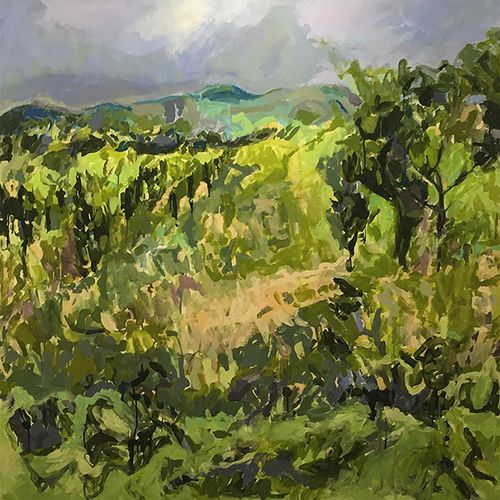 Tuscan Olive Orchard, 2015, 54" x 54", acrylic on 