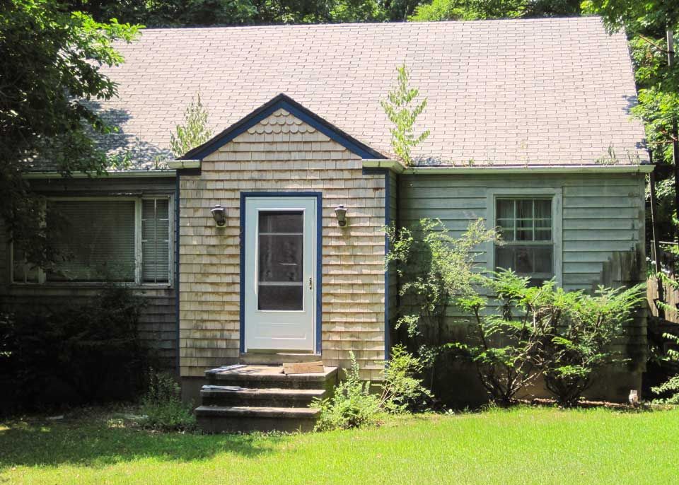 These weeds in the gutter almost look like part of