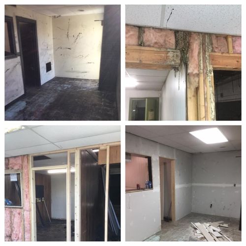 Termite damage restoration and drywall