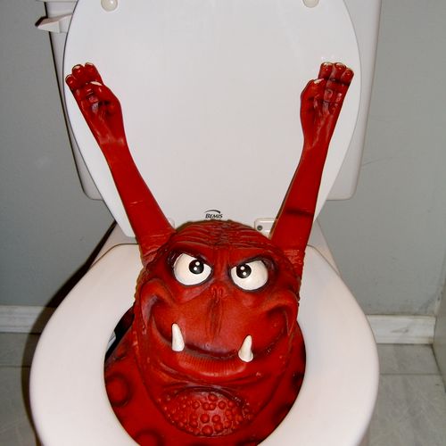 Monster in your toilet?  Monsters removed daily by