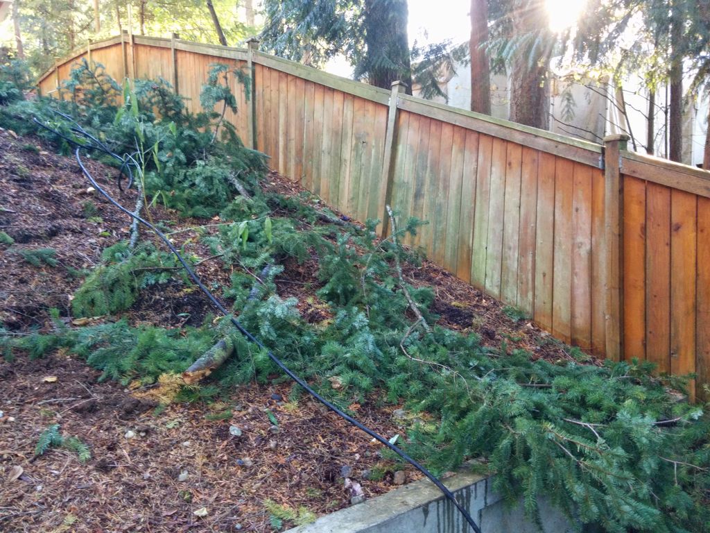 before pressure wash wood fence