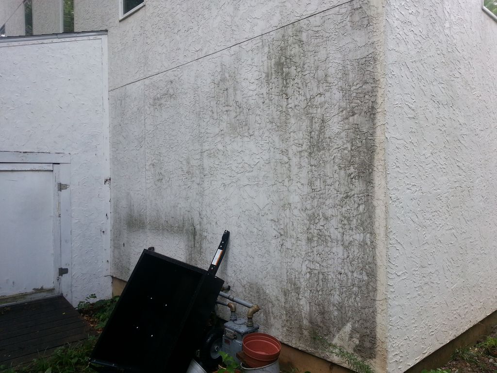 bad case of mildew/mold