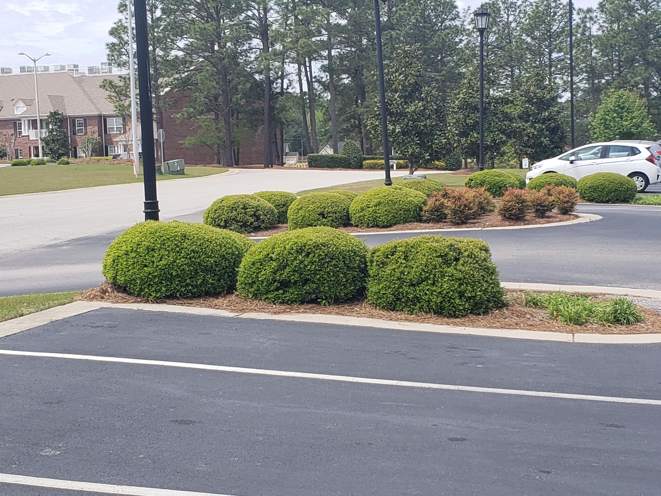 Legacy Lawn Care Raeford, NC Thumbtack
