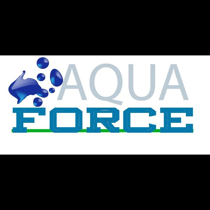 Aqua force pressure washing
