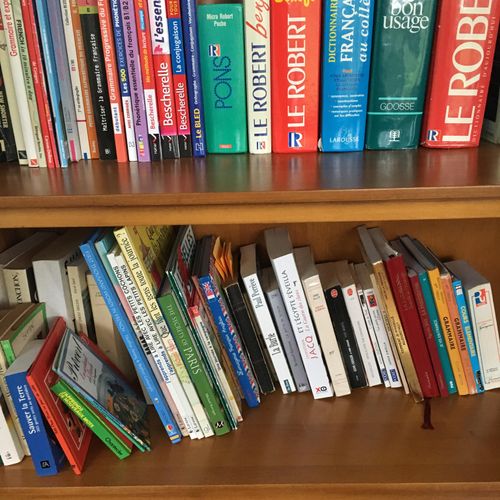 Shelves full of French grammar books and French di