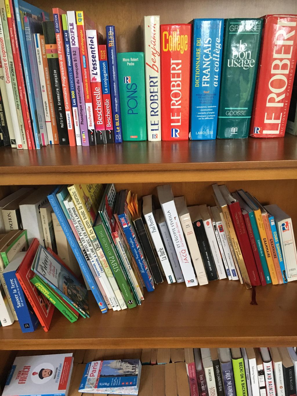 Shelves full of French grammar books and French di