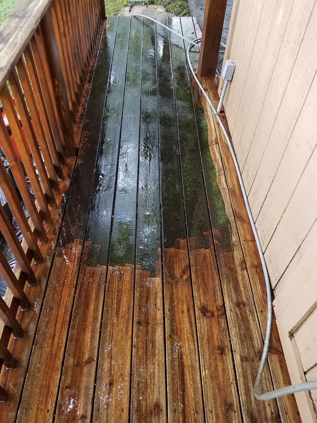 Power washing mold mildew and sap build up.