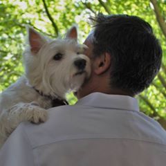 pro avatar