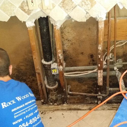 We offer a full range of services including mold, 