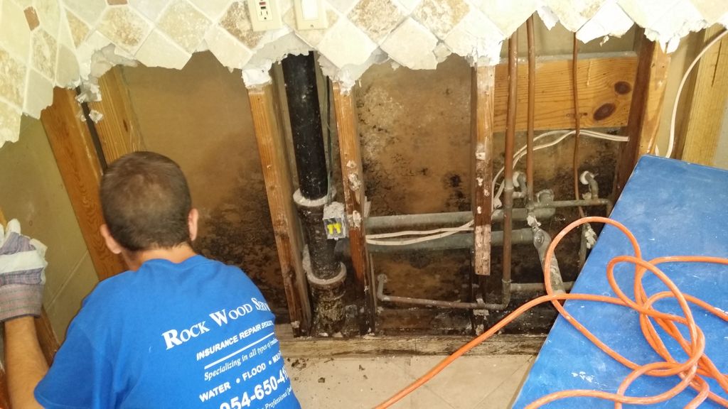We offer a full range of services including mold, 