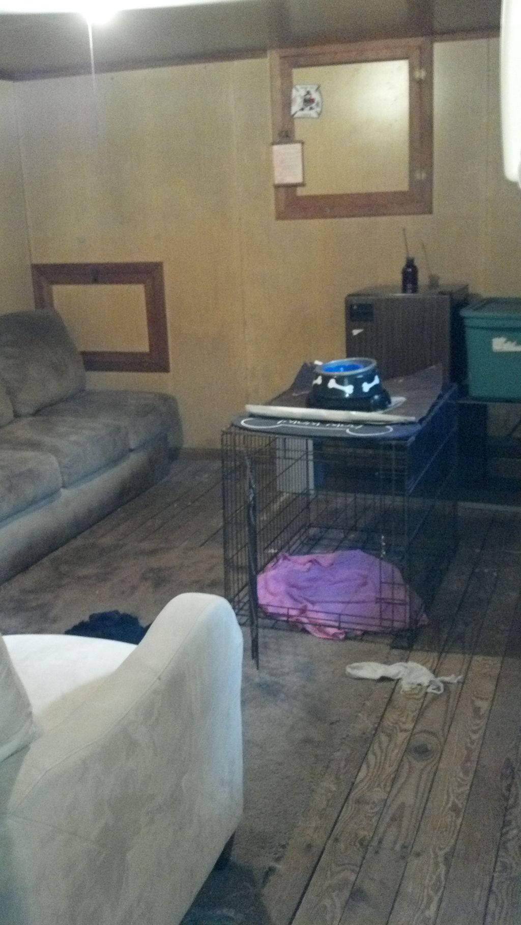 One of free roam areas.