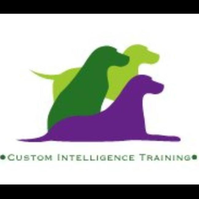 Custom Intelligence Training