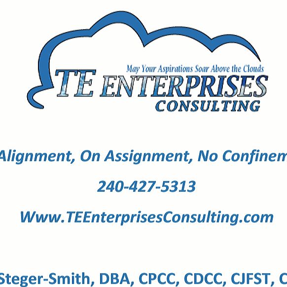 TE Enterprises Consulting, LLC