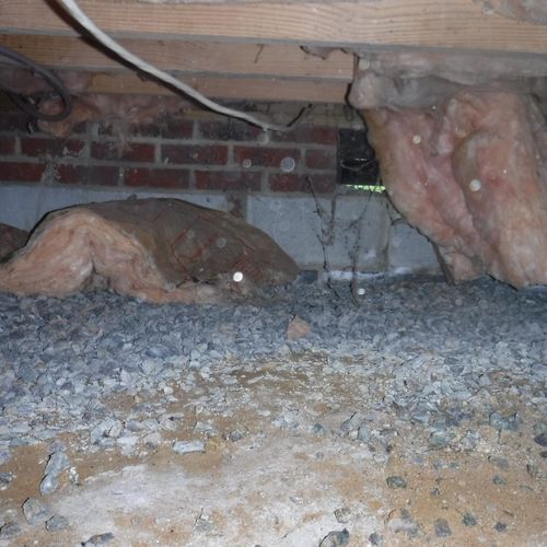 Example damaged insulation in a crawlspace. Damage