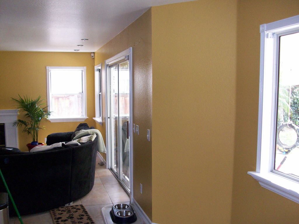 Contrast of yellow walls and ceiling, ultra pure w