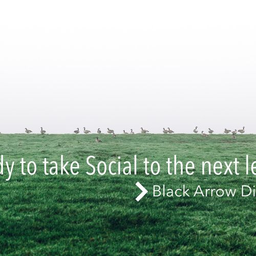 At Black Arrow Digital, we capture your brand's vi