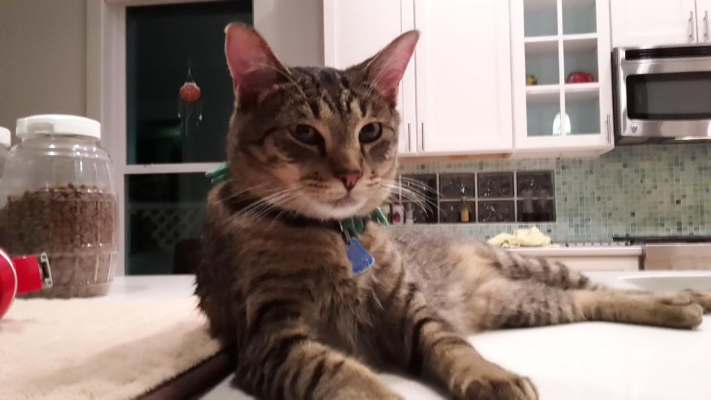 This is Otis