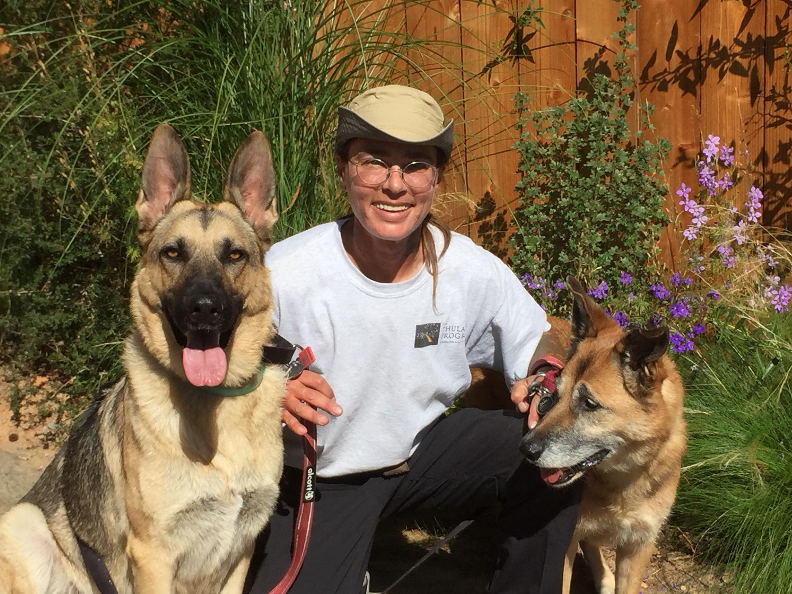 Majyk Paws Dog Training Petaluma, CA Thumbtack