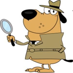Hound Dog Home Inspection