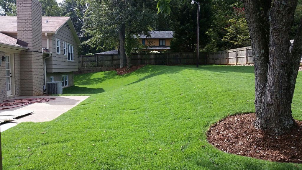 Sod and grading job a few months after install