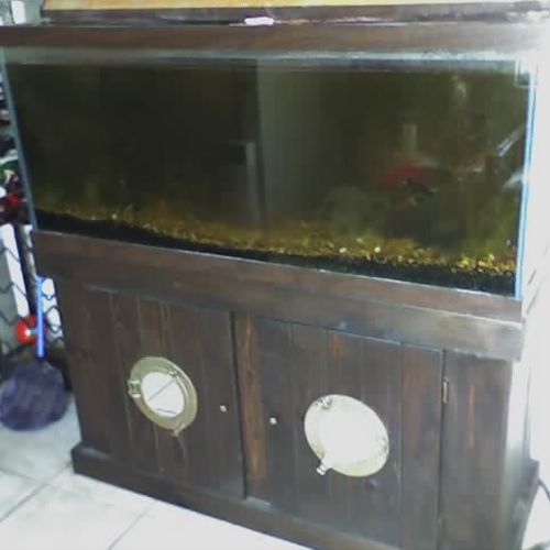 This is the before picture of a 90 gallon freshwat
