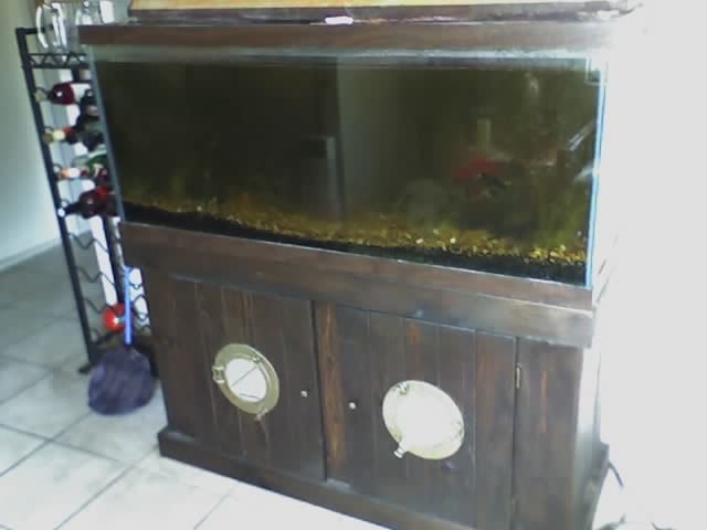 This is the before picture of a 90 gallon freshwat