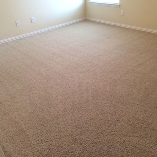 Carpet After 1
