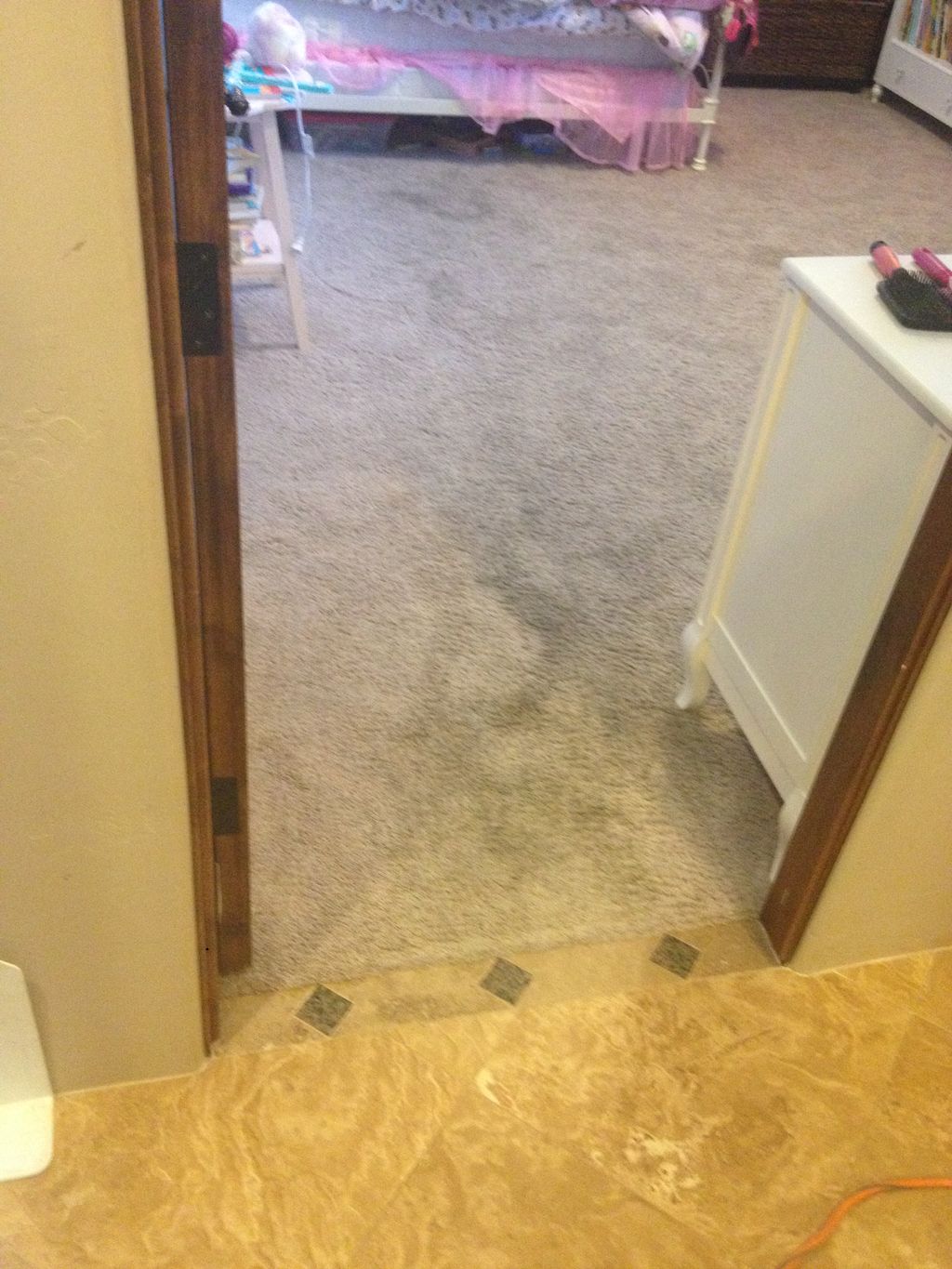 Before Carpet Cleaning