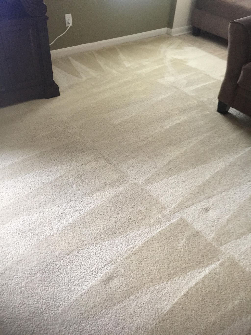 AFTER Pet Stain Treatment and Cleaning