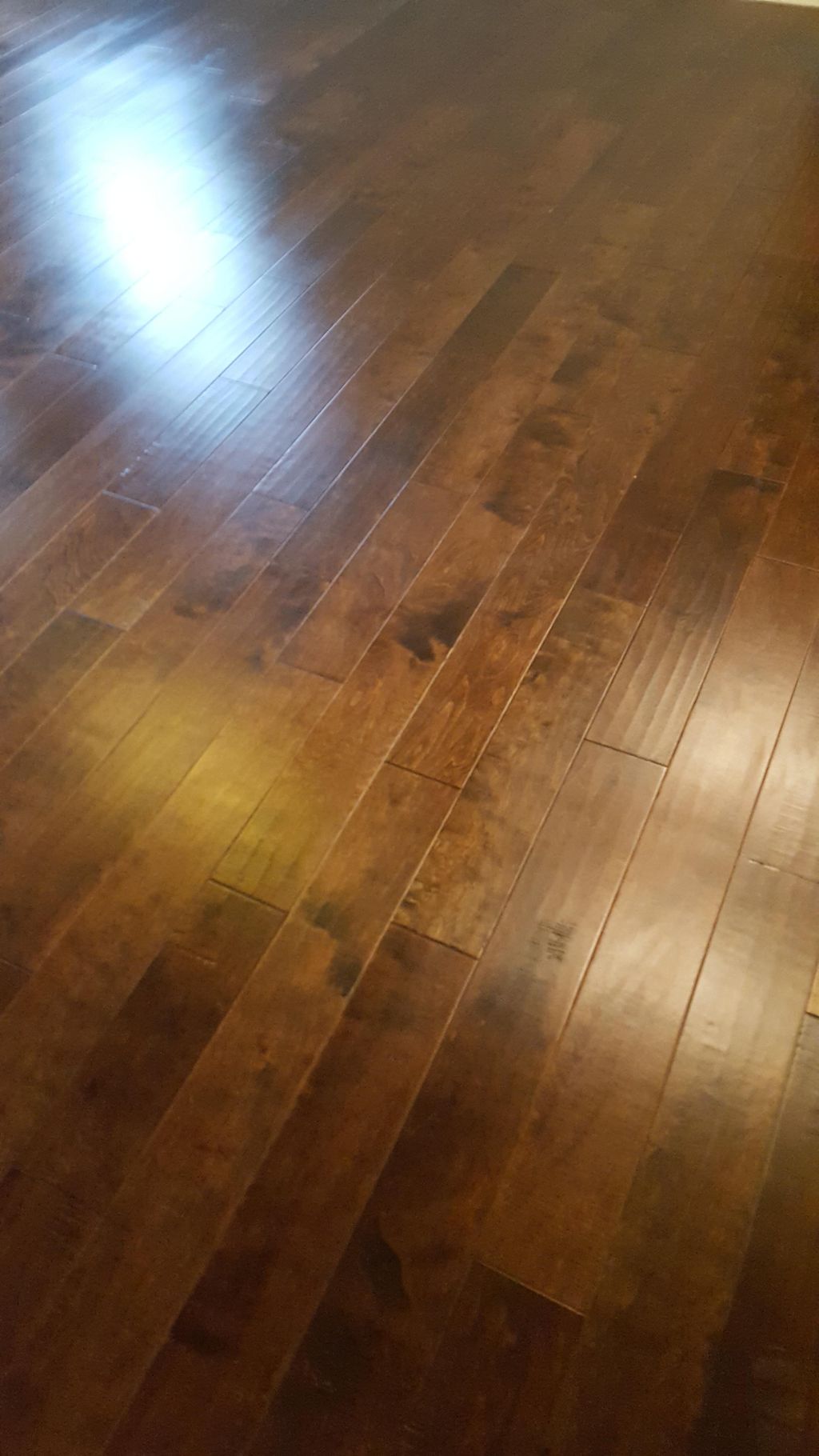 wood floor   1.75 sq ft