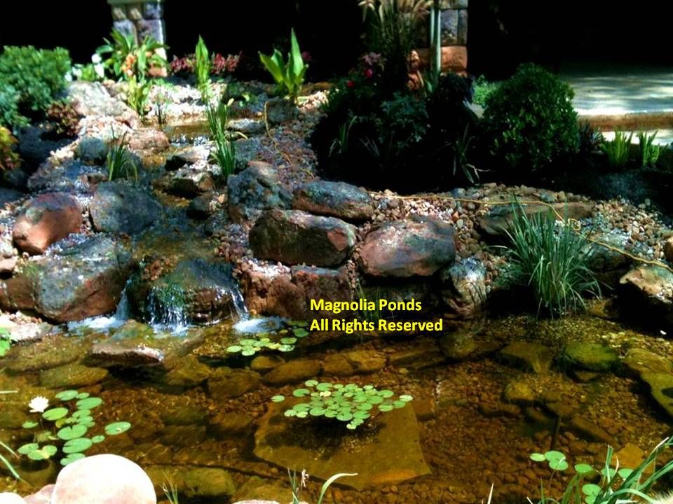 Feeding the fish is not just for adults!  It bring