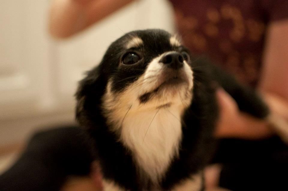Hi mommy. That treat you have looks good! My you'r
