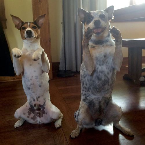 Two students, showing off their silly tricks