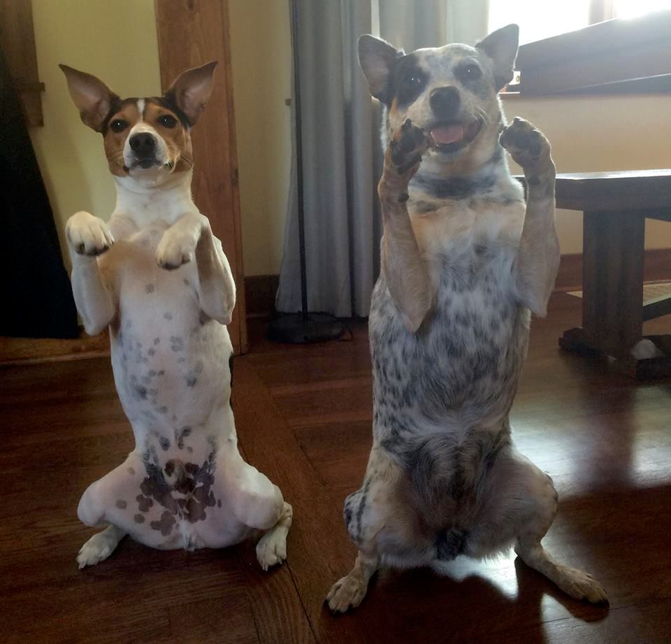 Two students, showing off their silly tricks