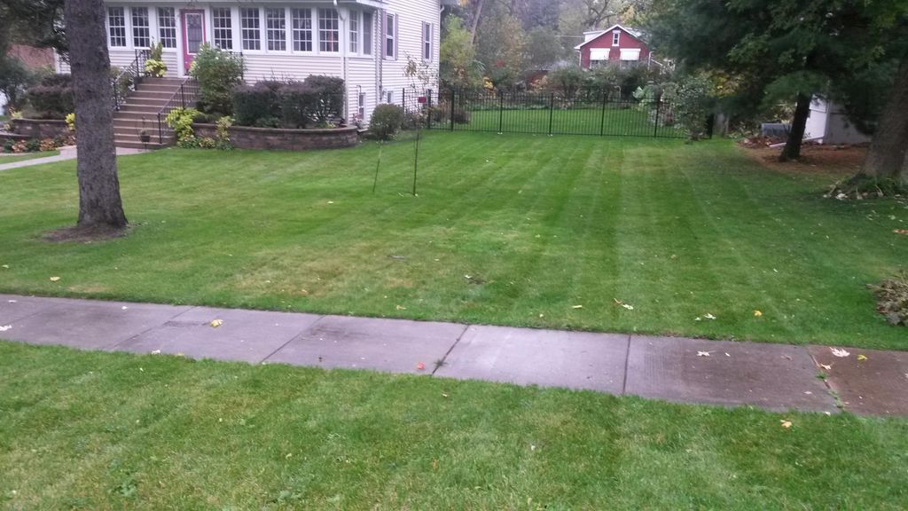 Weekly maintenance and fall clean up