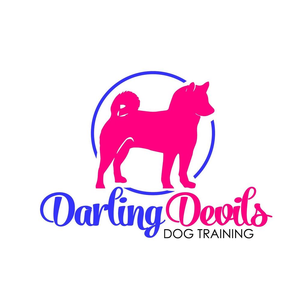 Darling Devil's Dog Training