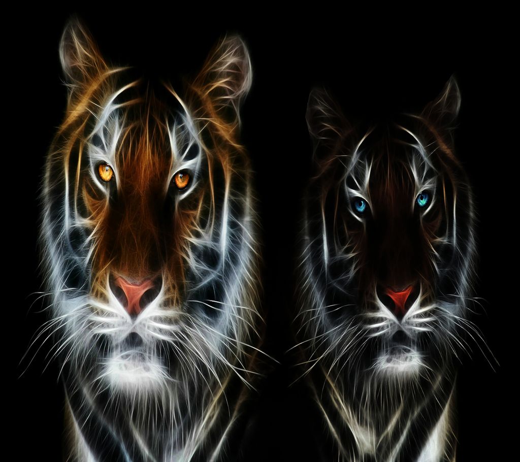 Tiger & Son