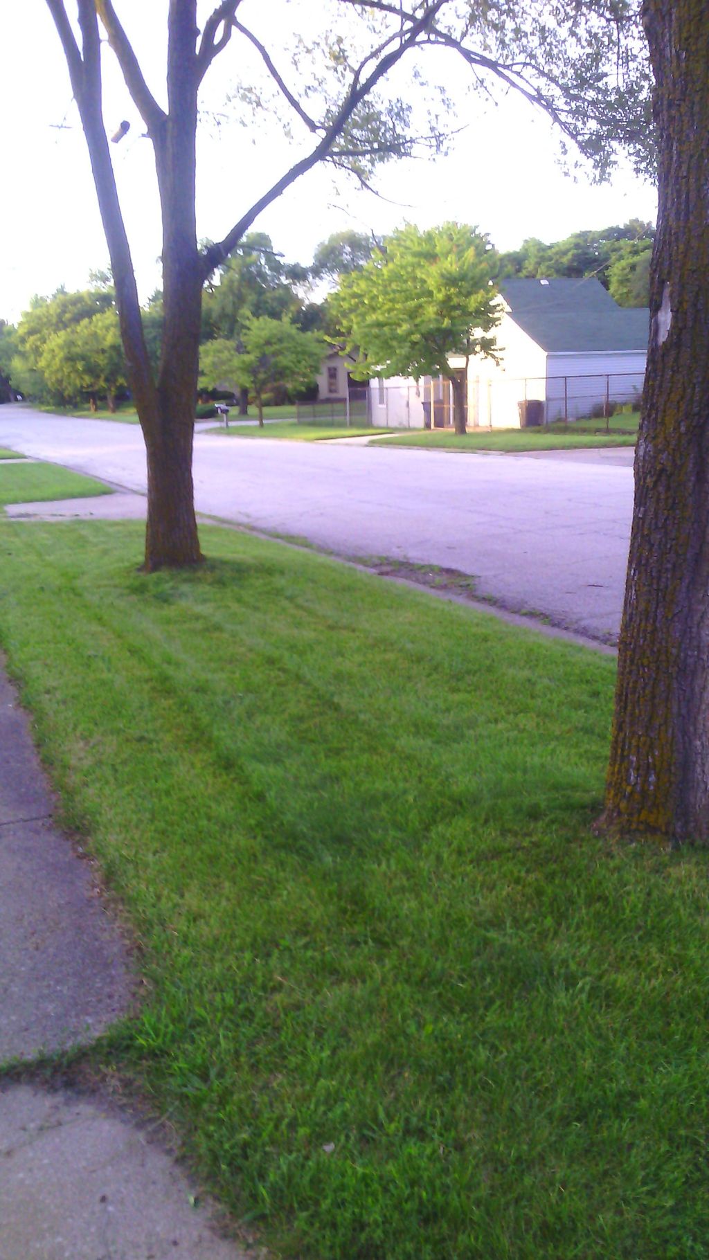Side of yard After (Property # 2120)